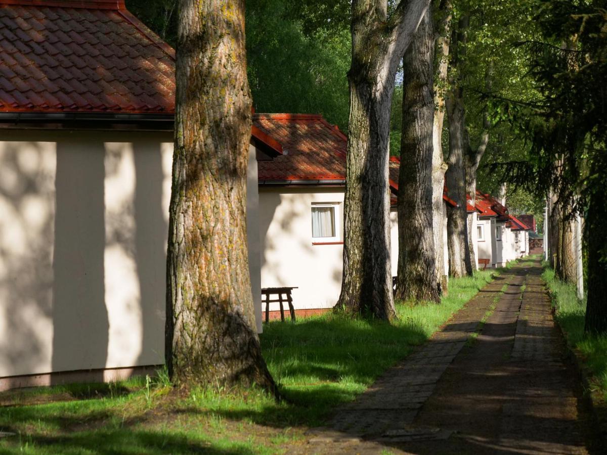 Polwysep Natura Tour Jastarnia Exterior foto